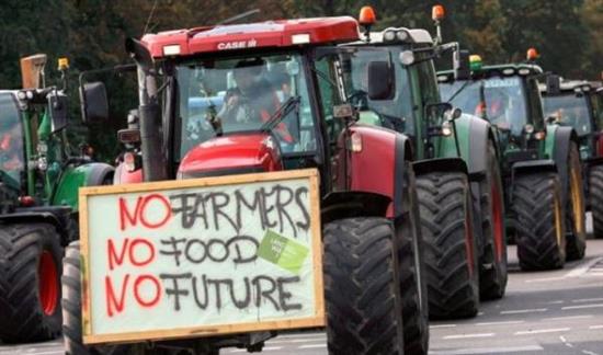当地时间2019年11月26日德国农民曾将5000辆拖拉机开上街，上万人聚集首都抗议。